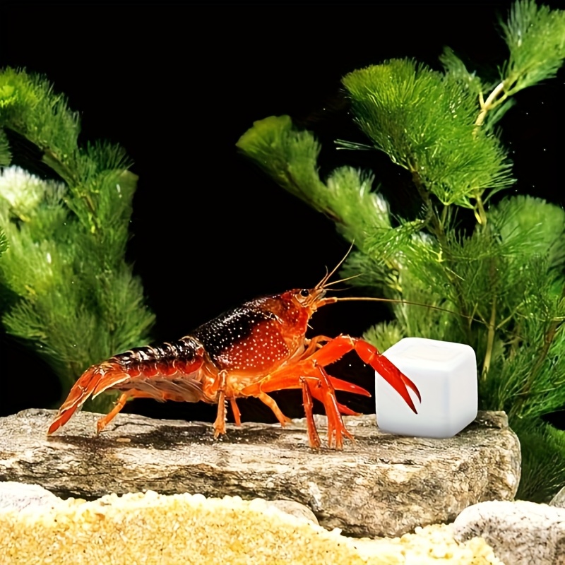 Calcium Powder Reptile - 6 Stück Aquarium-Kalziumblöcke, Mineralien, Aquariumzubehör, Kletterwürfel