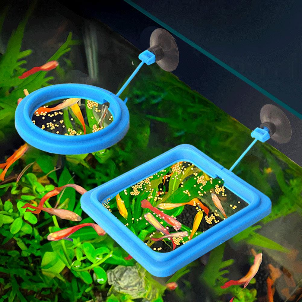 Fischfutterring, Futterautomat – Tetra Food Tropical Flakes Bewertung und Preis
