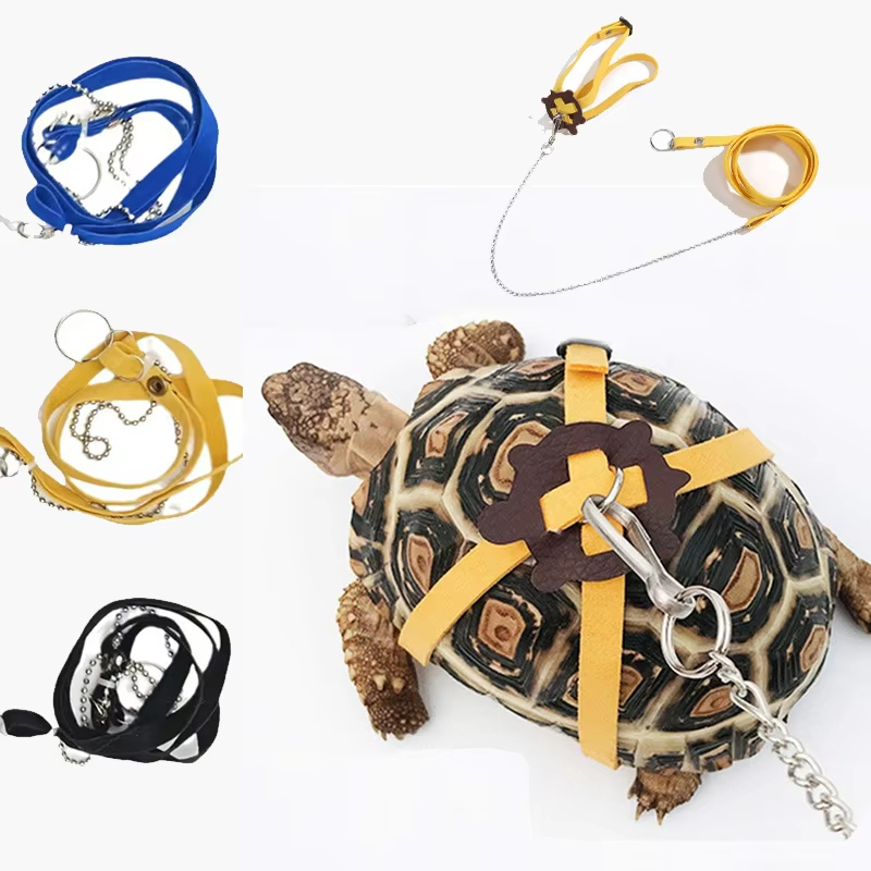 Schildkröten-Zugriemen, Kontro – Water Dish Reptile Bewertung und Preis