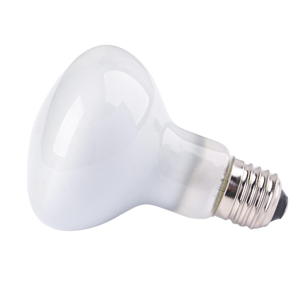 Amphibien-Temperaturregler, He – Basking Bulb Halogen Bewertung und Preis