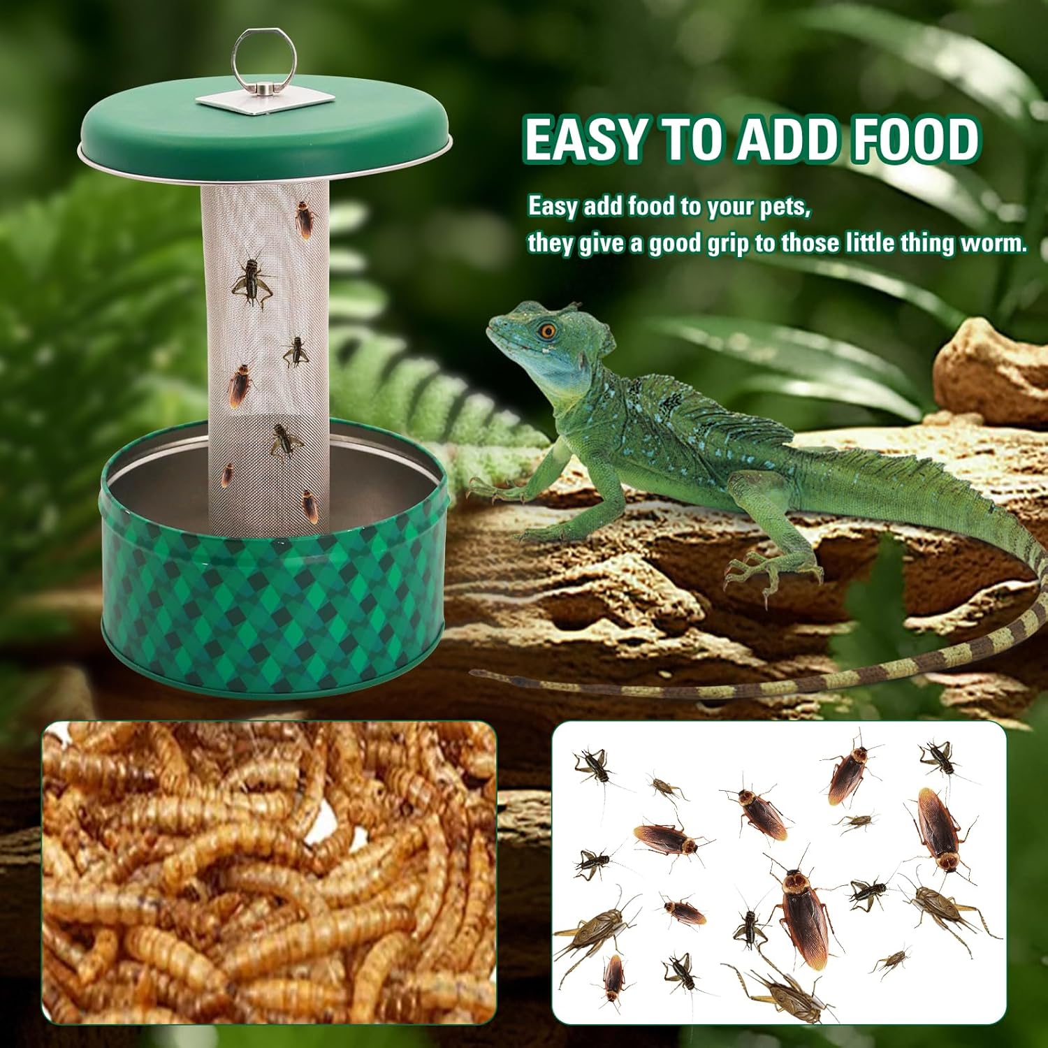 Feeder mit bärtigem Drachen, C – Water Dish Reptile Bewertung und Preis