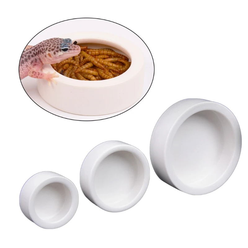 Reptilien-Futternapf, ausbruch – Water Dish Reptile Bewertung und Preis