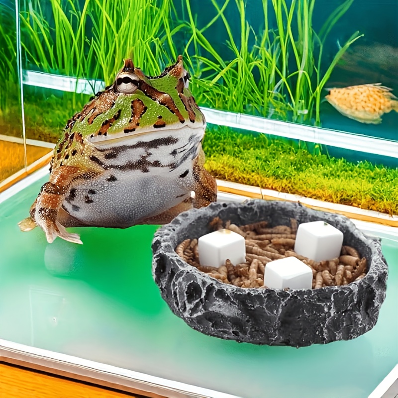 6 Stück Aquarium-Kalziumblöcke – Calcium Powder Reptile Bewertung und Preis